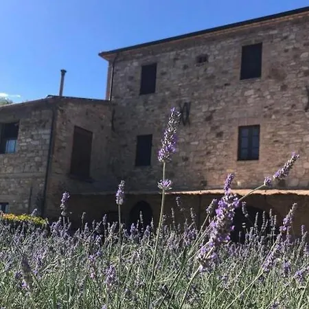 Apartment Guesthost - La E Bella, With Pool & Parking Passignano sul Trasimeno