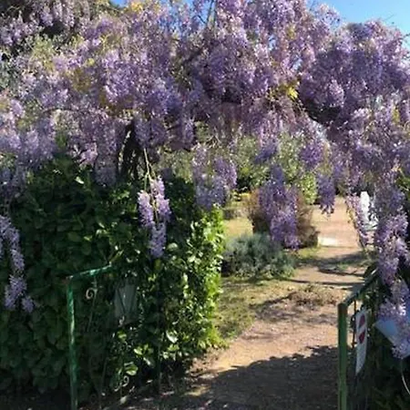 דירה Guesthost - La E Bella, With Pool & Parking